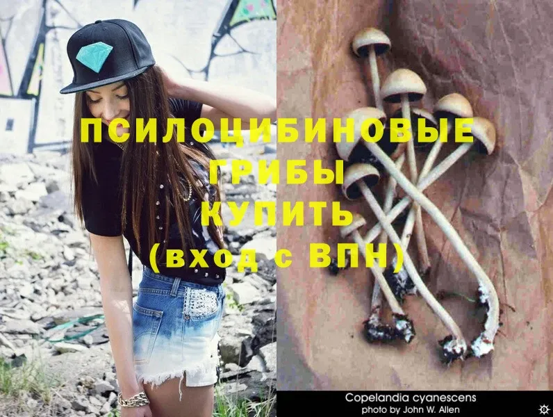 Галлюциногенные грибы Magic Shrooms  Бронницы 